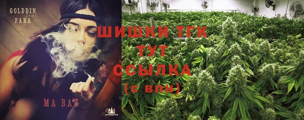 Альфа ПВП Мегион